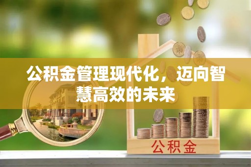 平度公积金管理现代化，迈向智慧高效的未来
